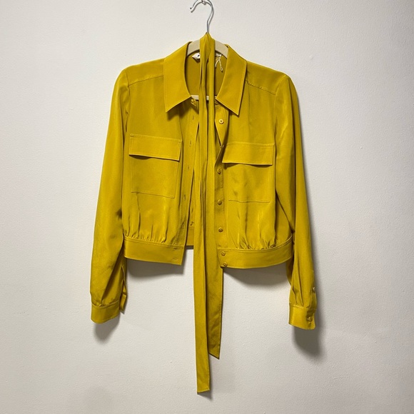 Stunning nwt Silk DVF Sample Sale Blouse Sz S - Picture 6 of 6